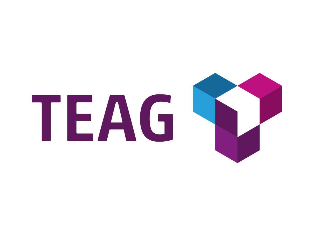 Logo der TEAG